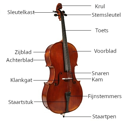 Onderdelen van een Cello