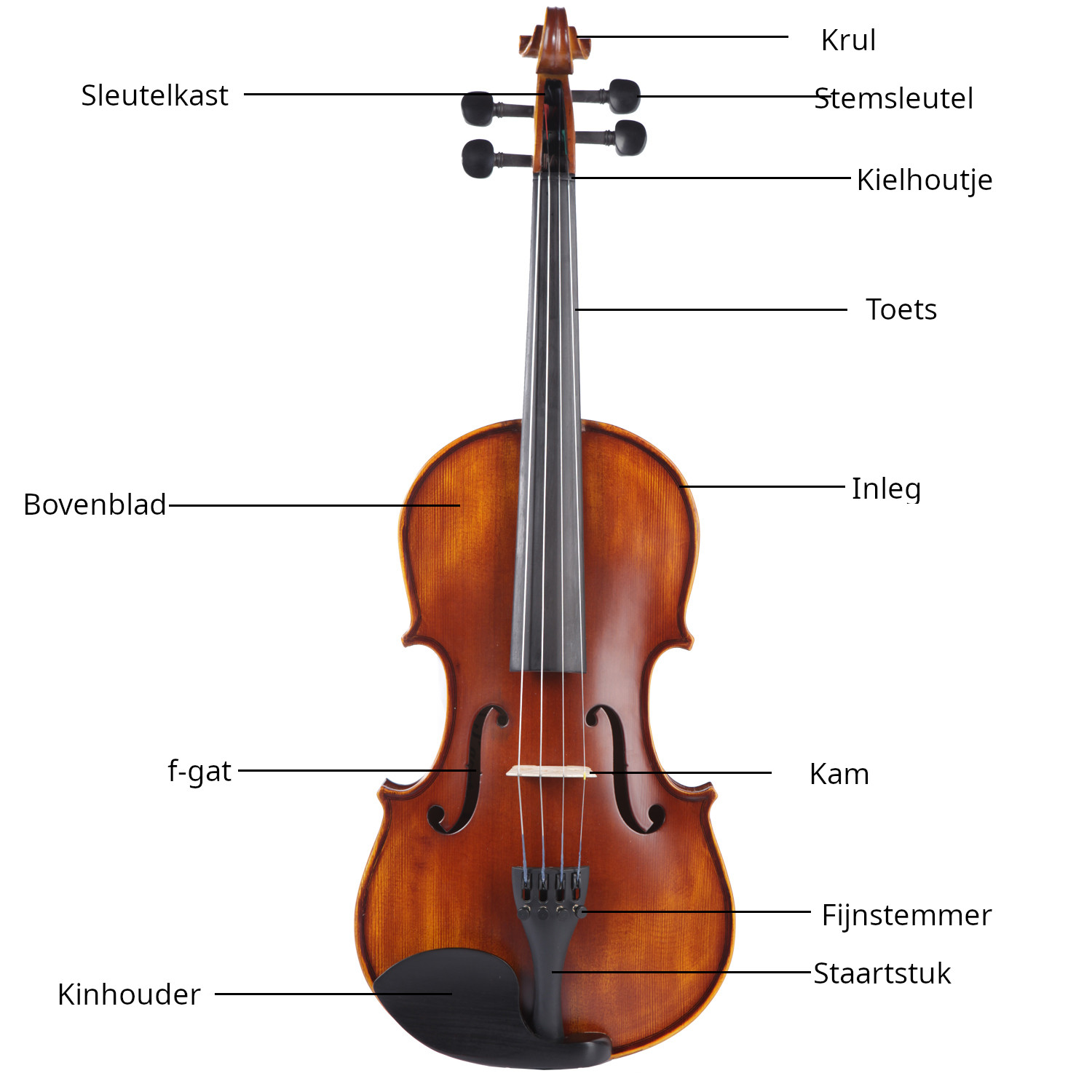 Der Aufbau einer Geige