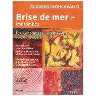 Leoncavallo, R.: Brise de mer – Impromptu 