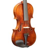 BERDANI Viool Strad Model 