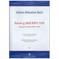 Bach, J. S.: Kontrabasssonate g-Moll nach BWV1029 