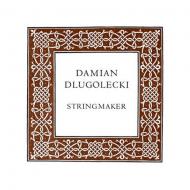 Damian DLUGOLECKI vioolsnaar D 