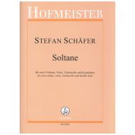 Schäfer, S.: Soltane 