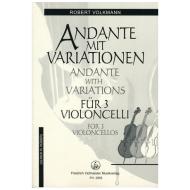 Volkmann, R.: Andante mit Variationen 