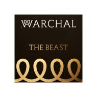 THE BEAST vioolsnaar E van Warchal 