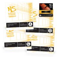 NS Electric cellosnaren SET van D'Addario 