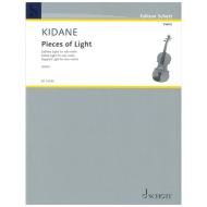 Kidane, D.: Pieces of Light 