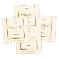 AMBER vioolsnaren SET van Warchal 