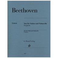 Beethoven, L.v.: Duo (Fragment) 