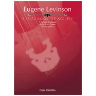 Levinson, E.: The School of Agility 